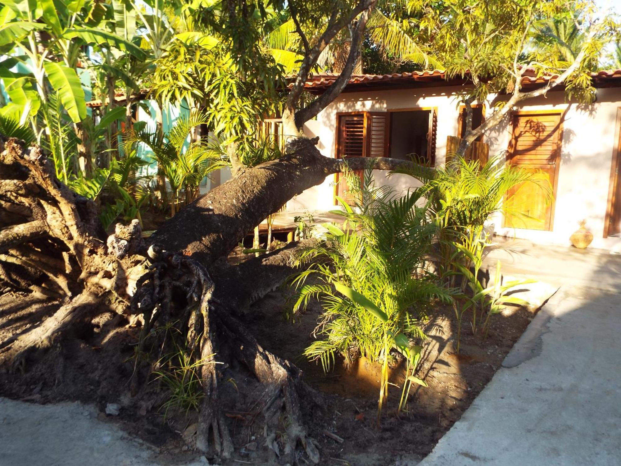 Jardim Uixa Villa Velha Boipeba Ngoại thất bức ảnh